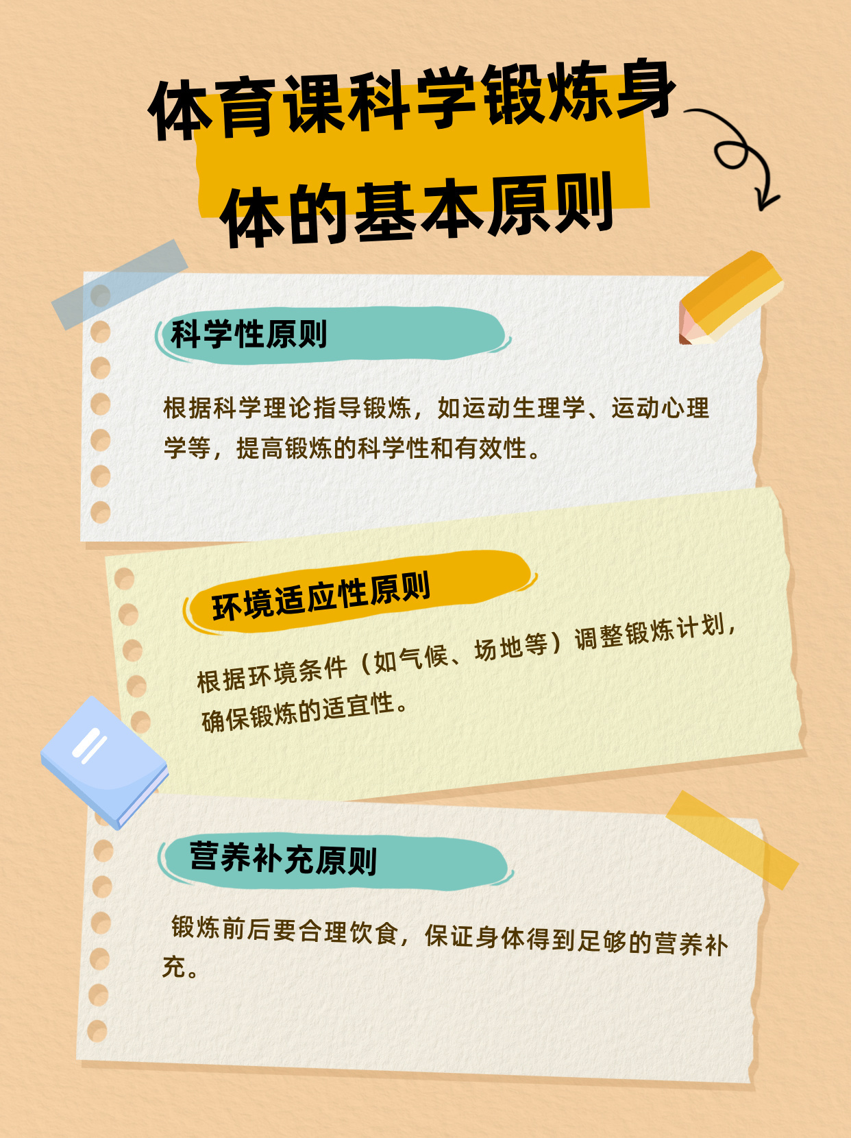 体育教学的五个原则及其在实践中的应用