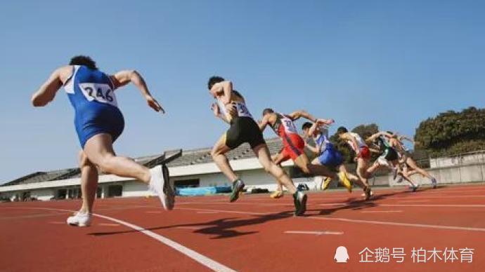 未来体育对社会的深刻影响与变革展望