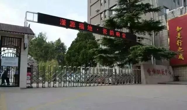 宁夏高中体育统招状元，荣耀背后的奋斗与拼搏