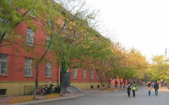 沈阳大学体育系，探索体育教育繁荣与活力之路