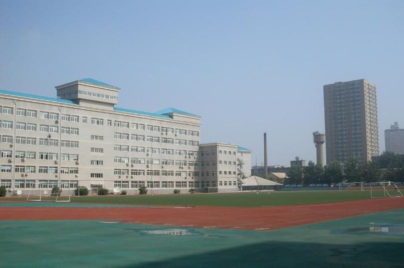 沈阳大学体育系大家，探索体育教育的繁荣与活力