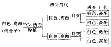 突变体育种方式重塑运动与遗传交融新关系