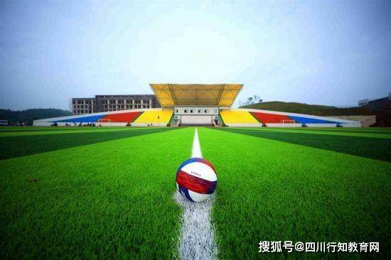 什么是体育学科大图景