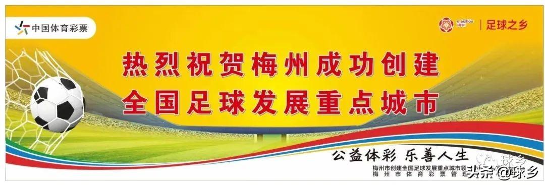 山东五四制体育测试标准，塑造学生全面发展体质的蓝图