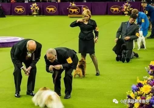 高中体育教育的紧迫性与重要性，探讨高中体育抓得紧吗？