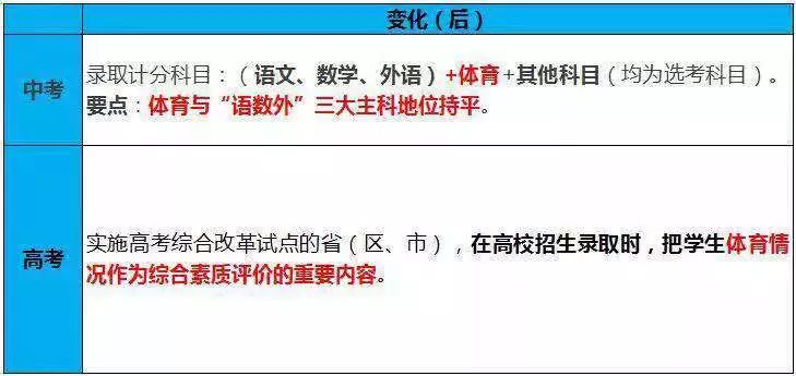 体育一科分数详解，构成与评价标准解析