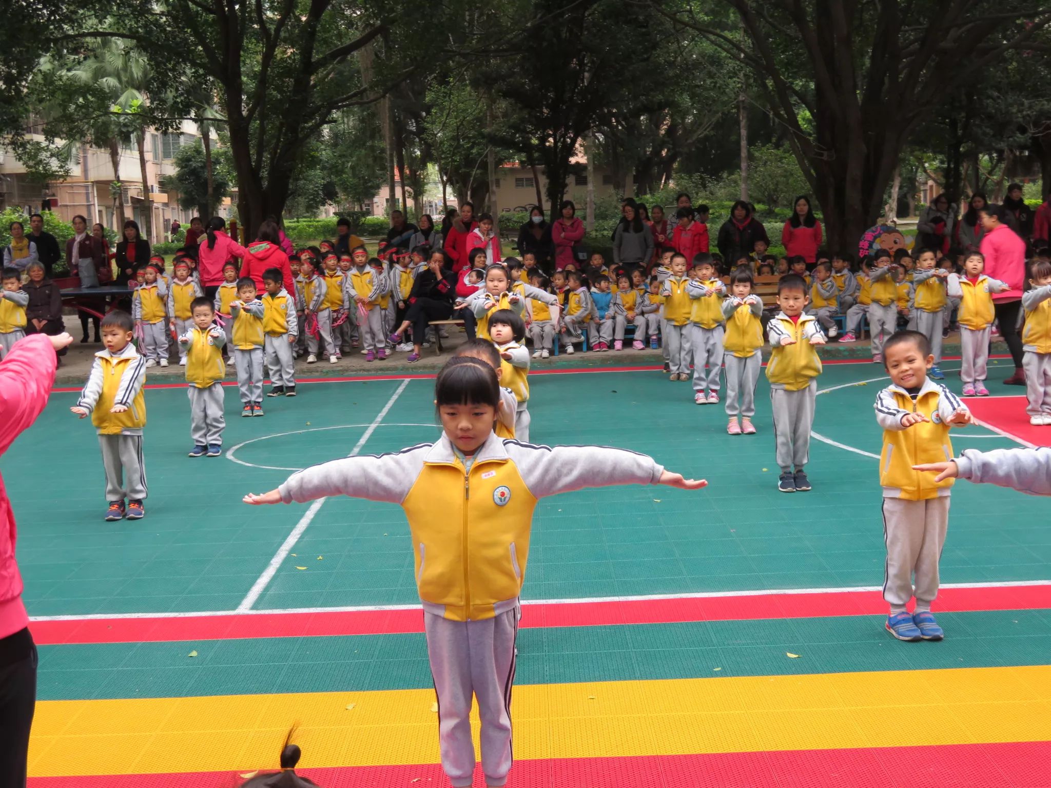 幼儿体育队形组织策略，平衡活力与秩序的教育之道